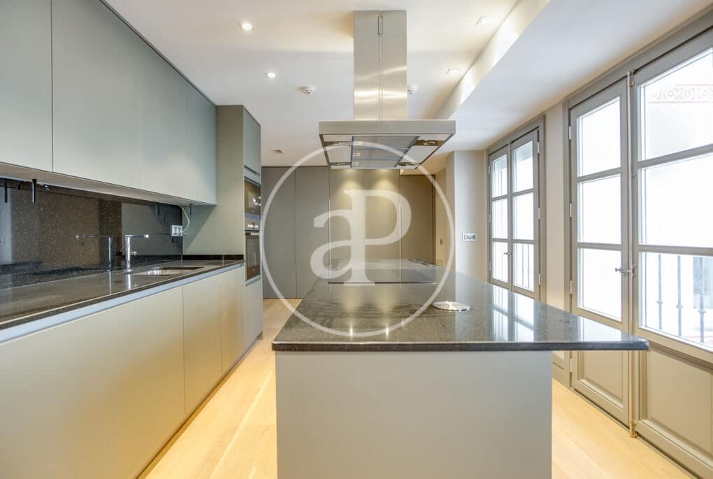 1 bedroom Apartment for rent in Madrid city - € 9,000 (Ref: 9695360)