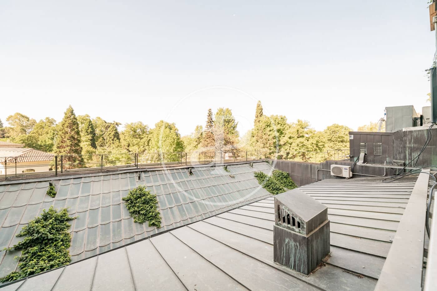 5 makuuhuone Huoneisto vuokrattavana paikassa Madrid kaupunki - 8 000 € (Ref: 9755695)