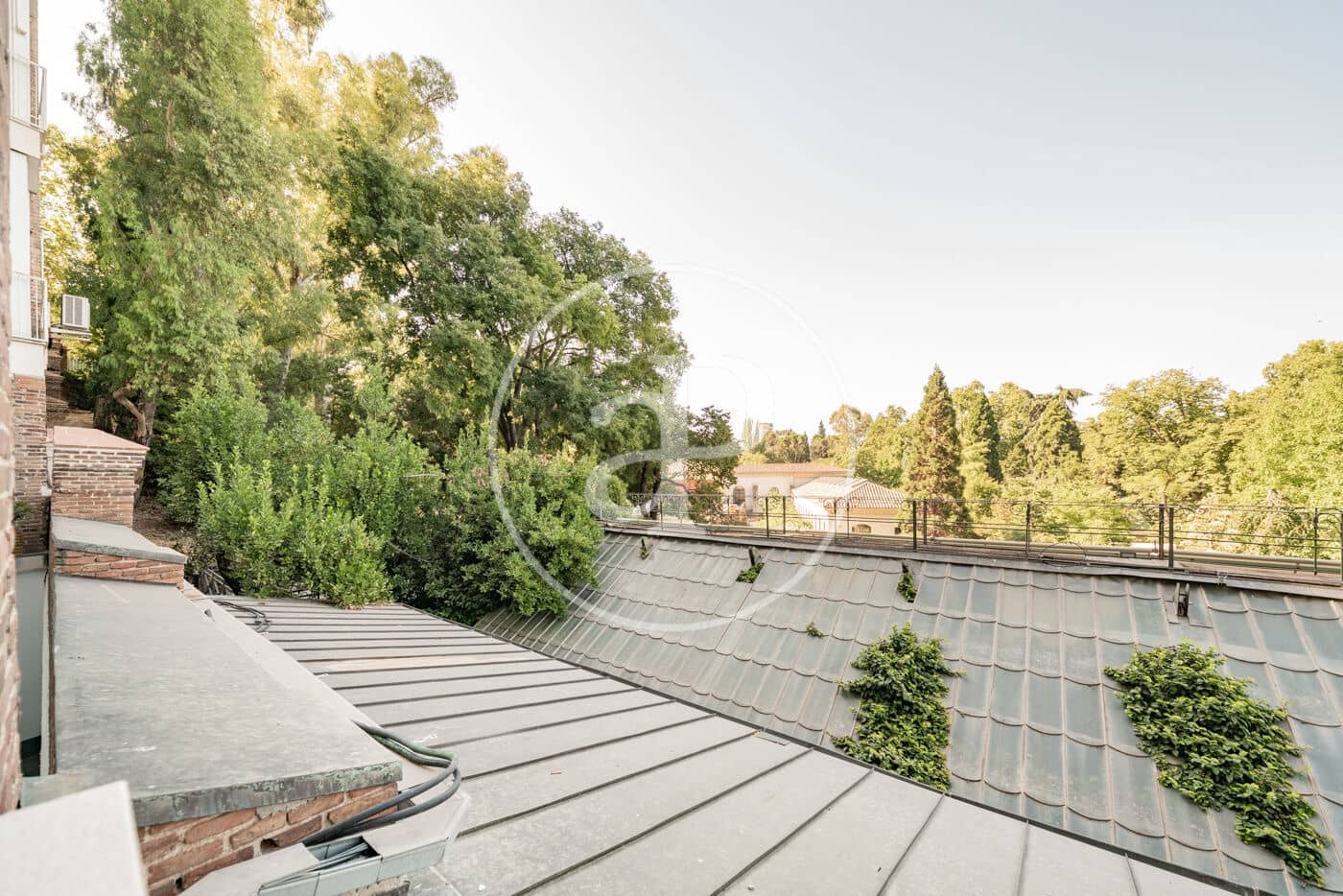 5 makuuhuone Huoneisto vuokrattavana paikassa Madrid kaupunki - 8 000 € (Ref: 9755695)