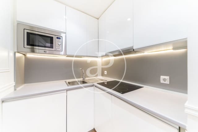 1 soveværelse Lejlighed til leje i Castellana, Madrid by - € 2.195 (Ref: 9778146)