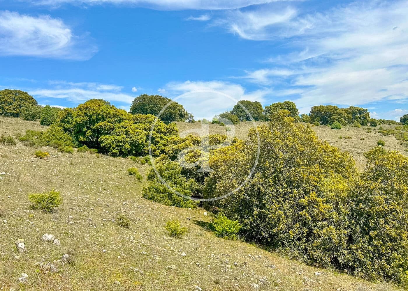 Terreno Non Edificato in vendita in Guadalix de la Sierra - 296.000 € (Rif: 9788410)