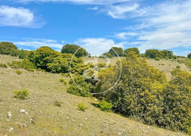 Terreno Non Edificato in vendita in Guadalix de la Sierra - 296.000 € (Rif: 9788410)