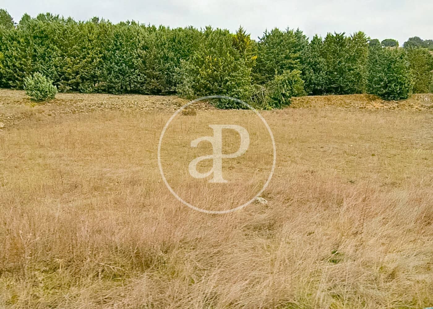 Terreno Non Edificato in vendita in Guadalix de la Sierra - 102.000 € (Rif: 9788411)