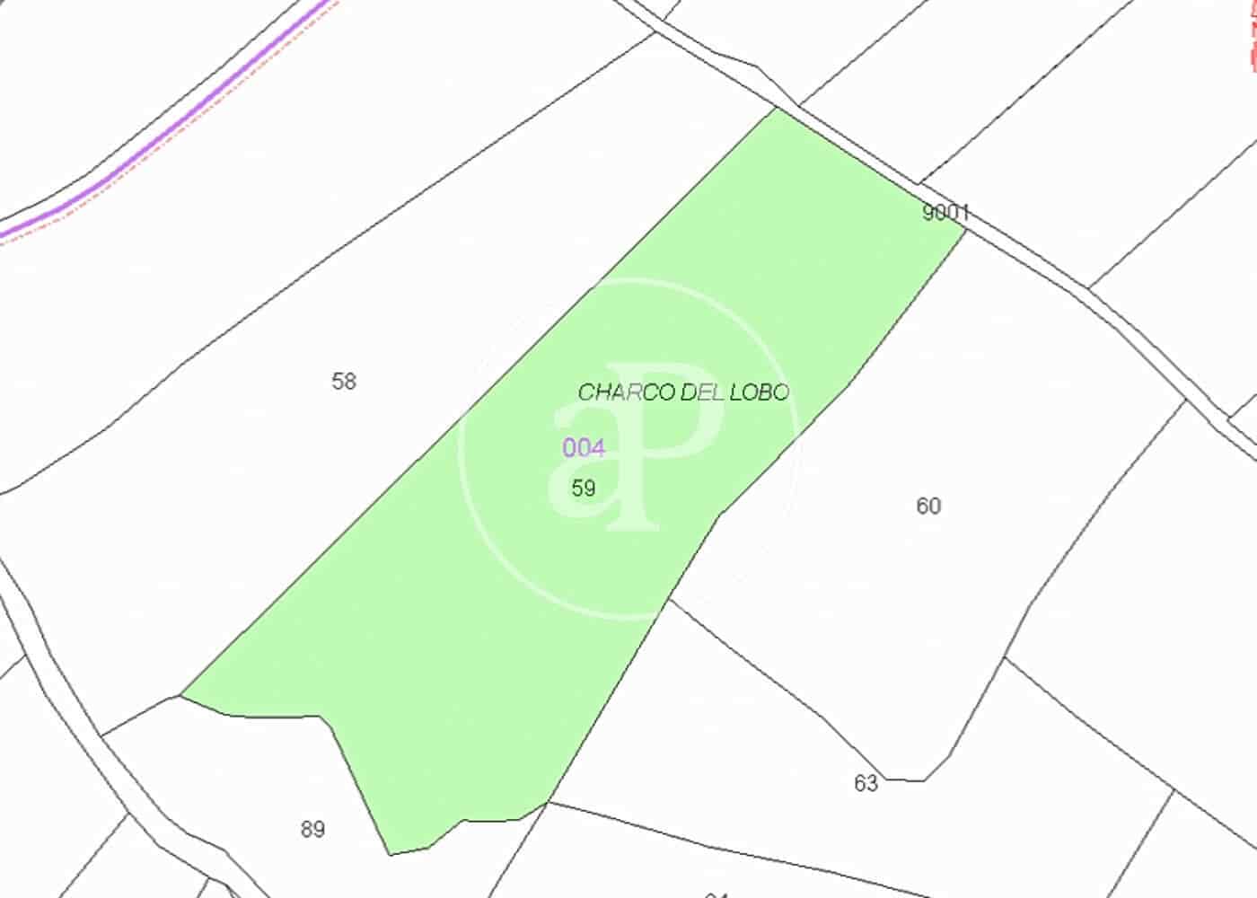 Rakentamaton maa myytävänä paikassa Brunete - 520 000 € (Ref: 9791058)