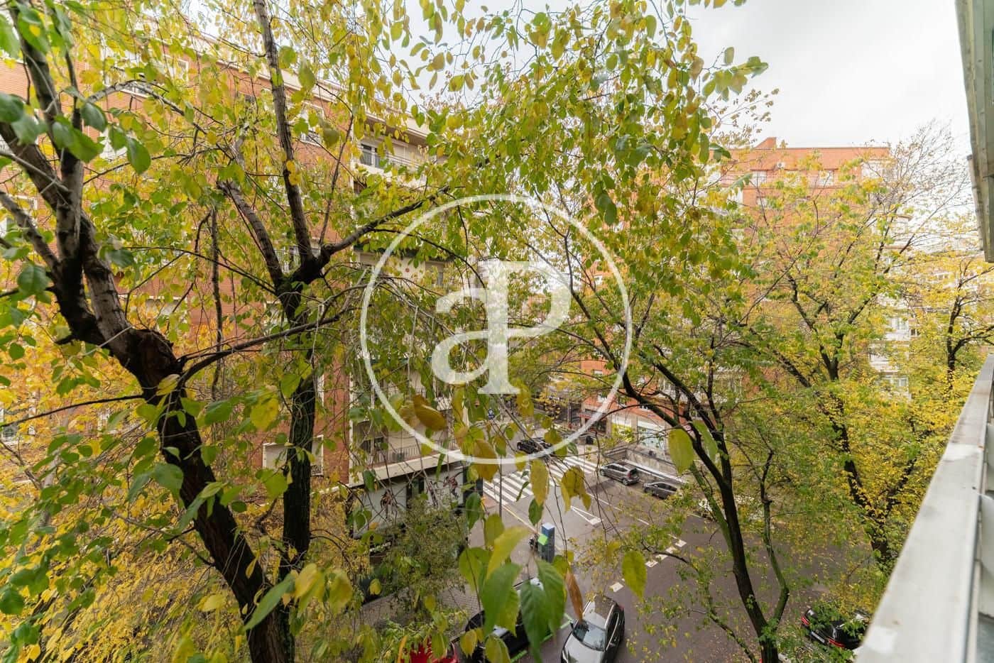 1 bedroom Apartment for rent in Madrid city - € 1,750 (Ref: 9822938)
