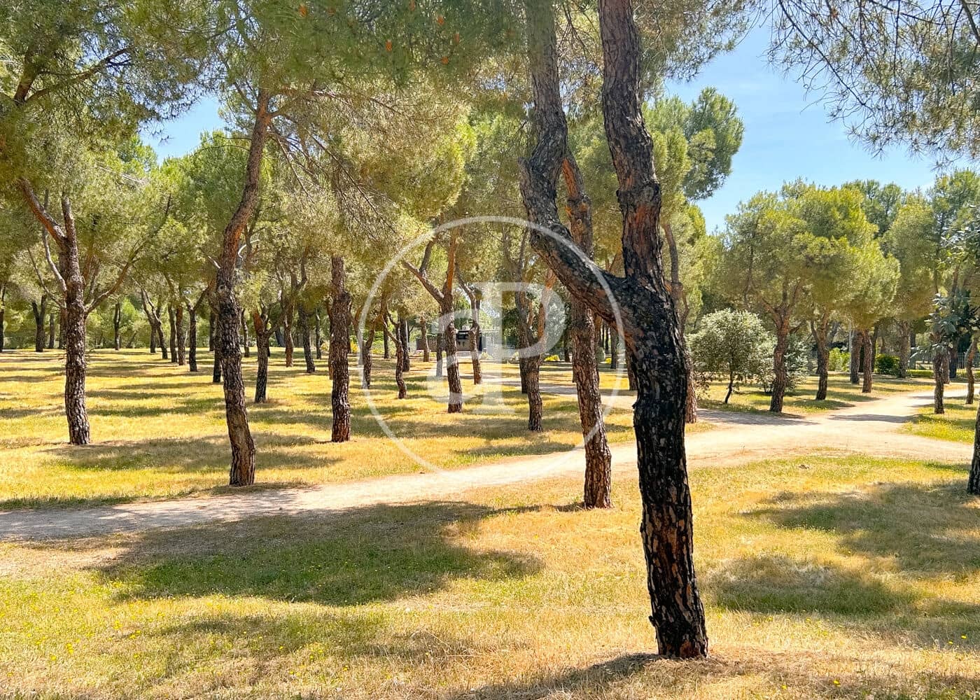 5 bedroom Villa for sale in Pozuelo de Alarcon - € 4,100,000 (Ref: 9861880)