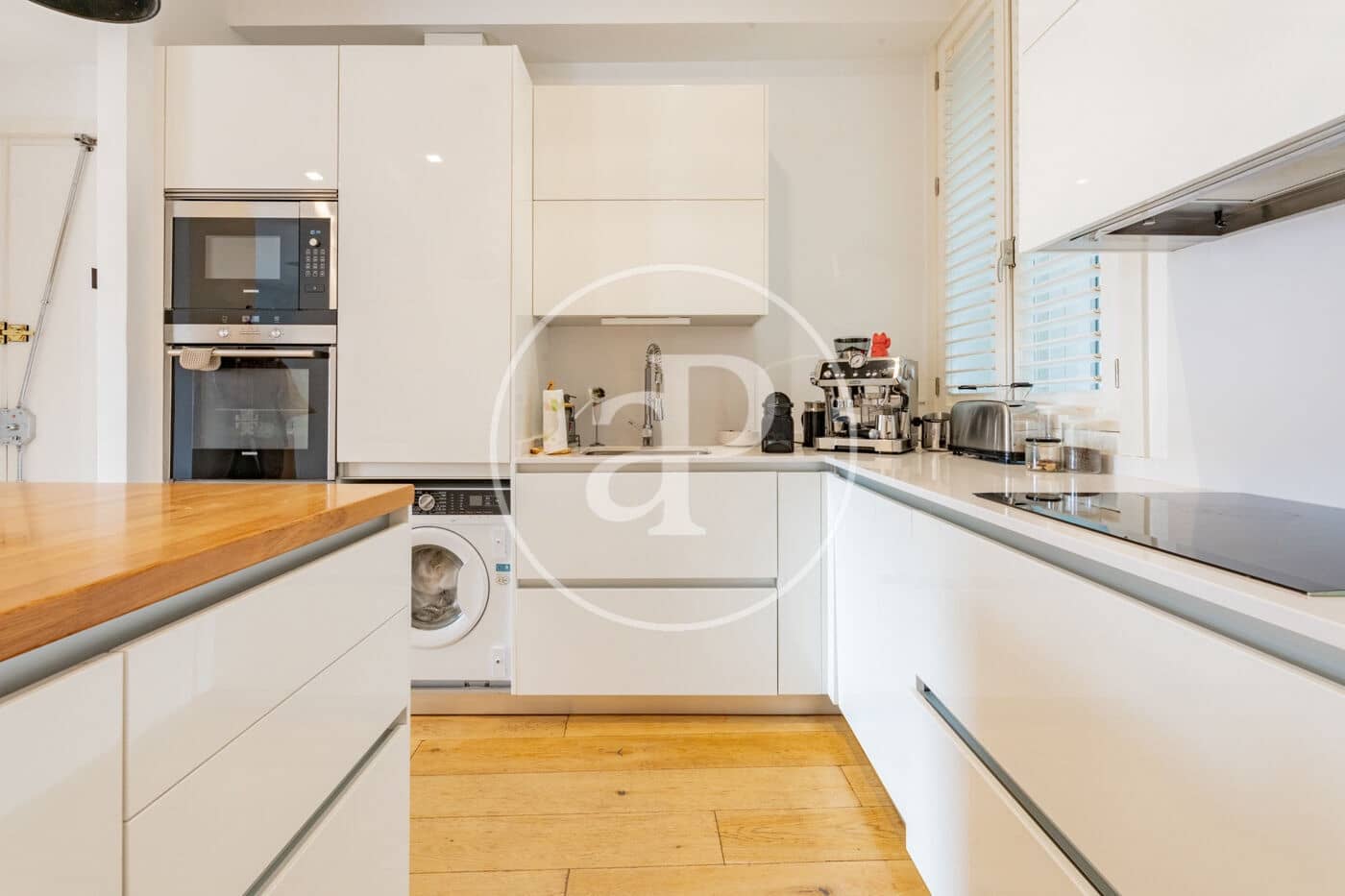 2 bedroom Apartment for rent in Madrid city - € 3,000 (Ref: 9949820)