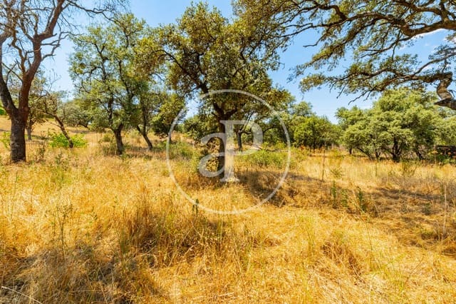 Terreno Non Edificato in vendita in San Sebastián de los Reyes - 675.000 € (Rif: 9952642)