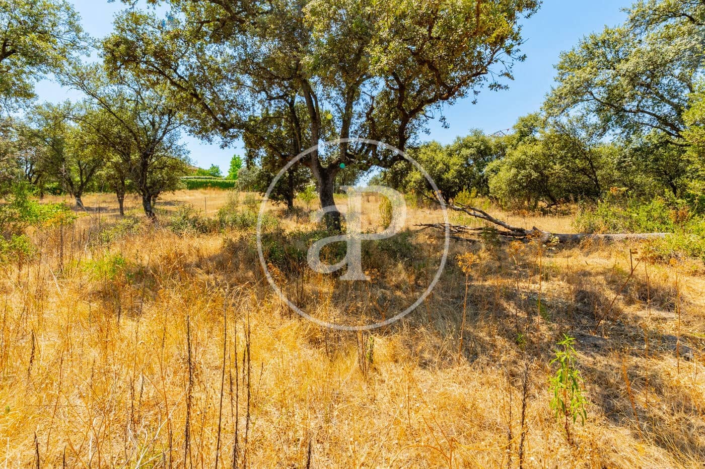 Terreno Non Edificato in vendita in San Sebastian de los Reyes - 675.000 € (Rif: 9952642)
