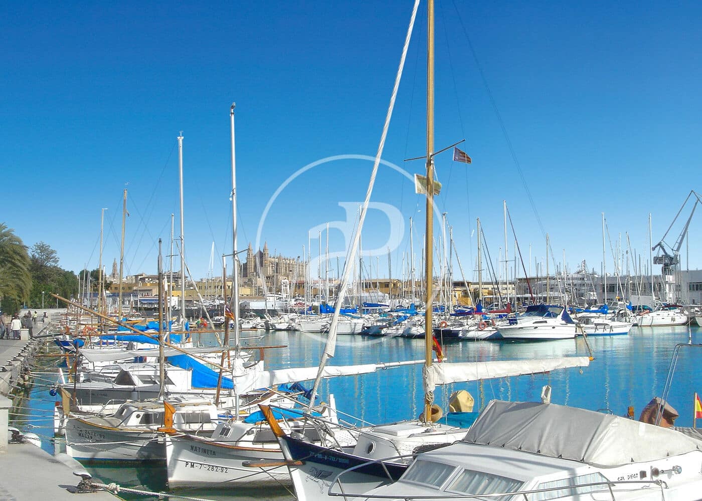 Appartement te koop in Palma de Mallorca met zwembad - € 1.170.000 (Ref: 10009146)