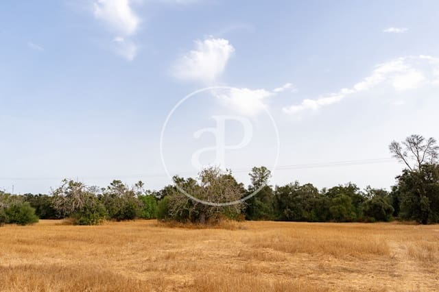 Quinta/Casa Rural para venda em Sineu - 3 000 000 € (Ref: 10032097)