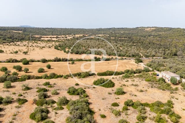 Quinta/Casa Rural para venda em Sineu - 3 000 000 € (Ref: 10032097)