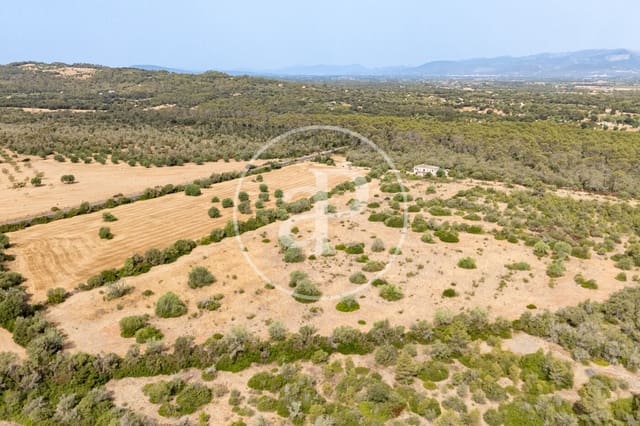 Quinta/Casa Rural para venda em Sineu - 3 000 000 € (Ref: 10032097)