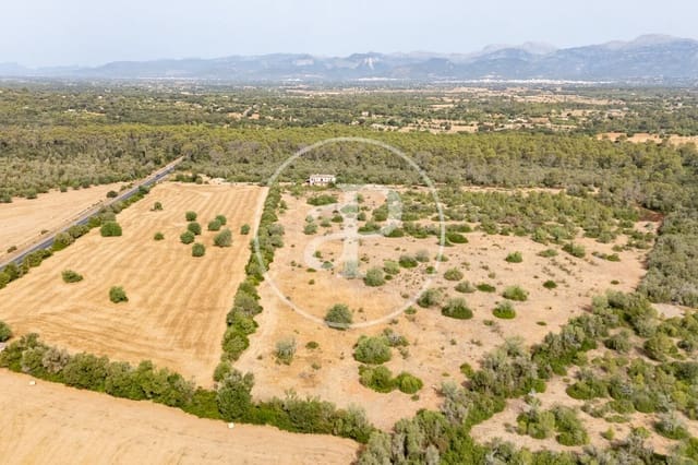 Quinta/Casa Rural para venda em Sineu - 3 000 000 € (Ref: 10032097)