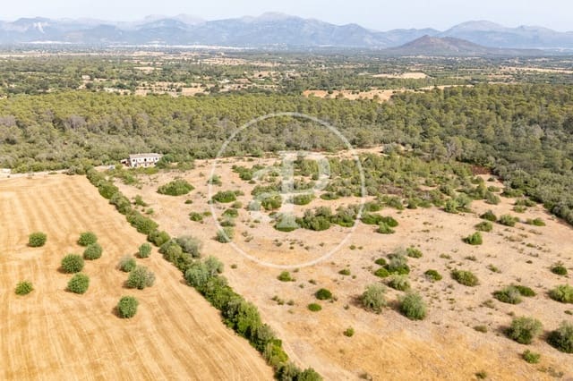 Quinta/Casa Rural para venda em Sineu - 3 000 000 € (Ref: 10032097)