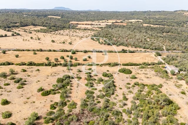 Quinta/Casa Rural para venda em Sineu - 3 000 000 € (Ref: 10032097)