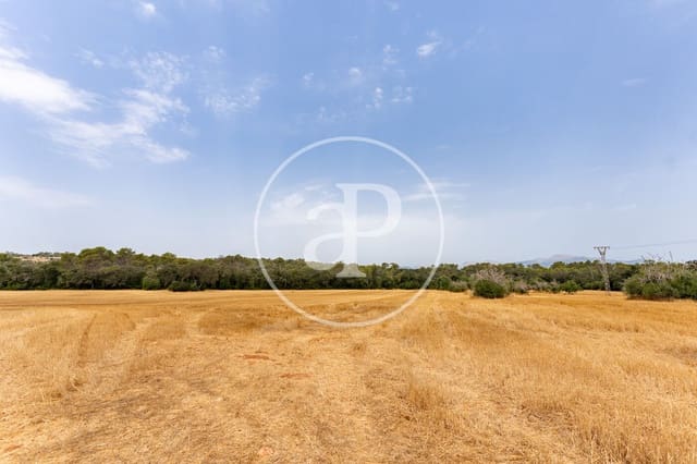 Finca/Maison de Campagne à vendre à Sineu - 3 000 000 € (Ref: 10032097)