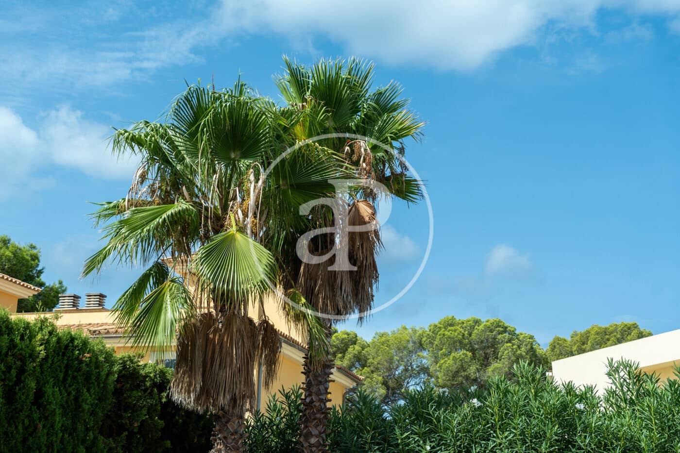 3 bedroom Villa for rent in Puig de Ros with pool - € 2,900 (Ref: 10047375)