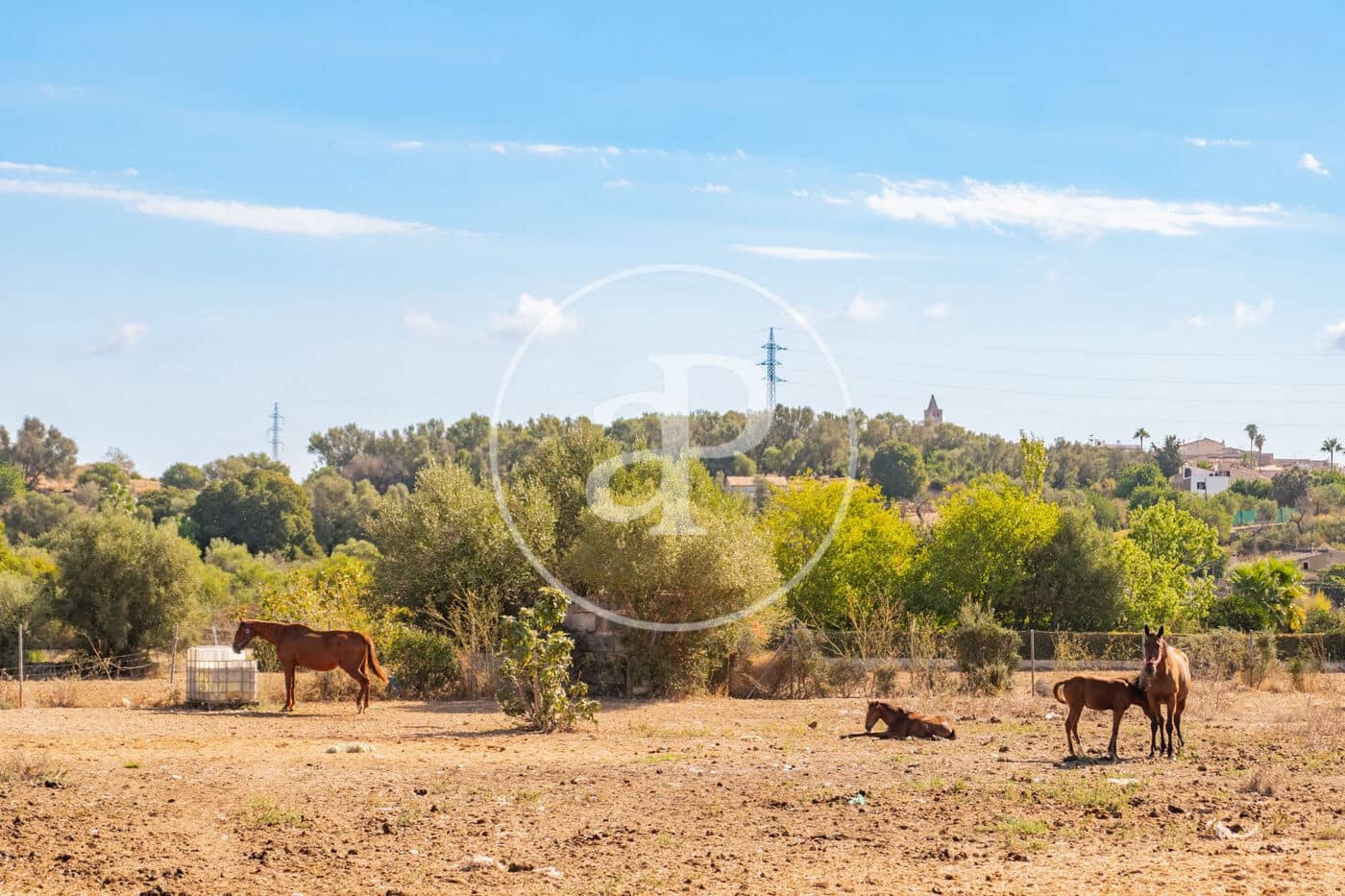 Terreno Não Urbanizado para venda em Buger - 590 000 € (Ref: 10098306)