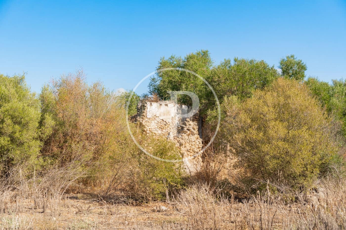 Terreno Não Urbanizado para venda em Buger - 590 000 € (Ref: 10098306)