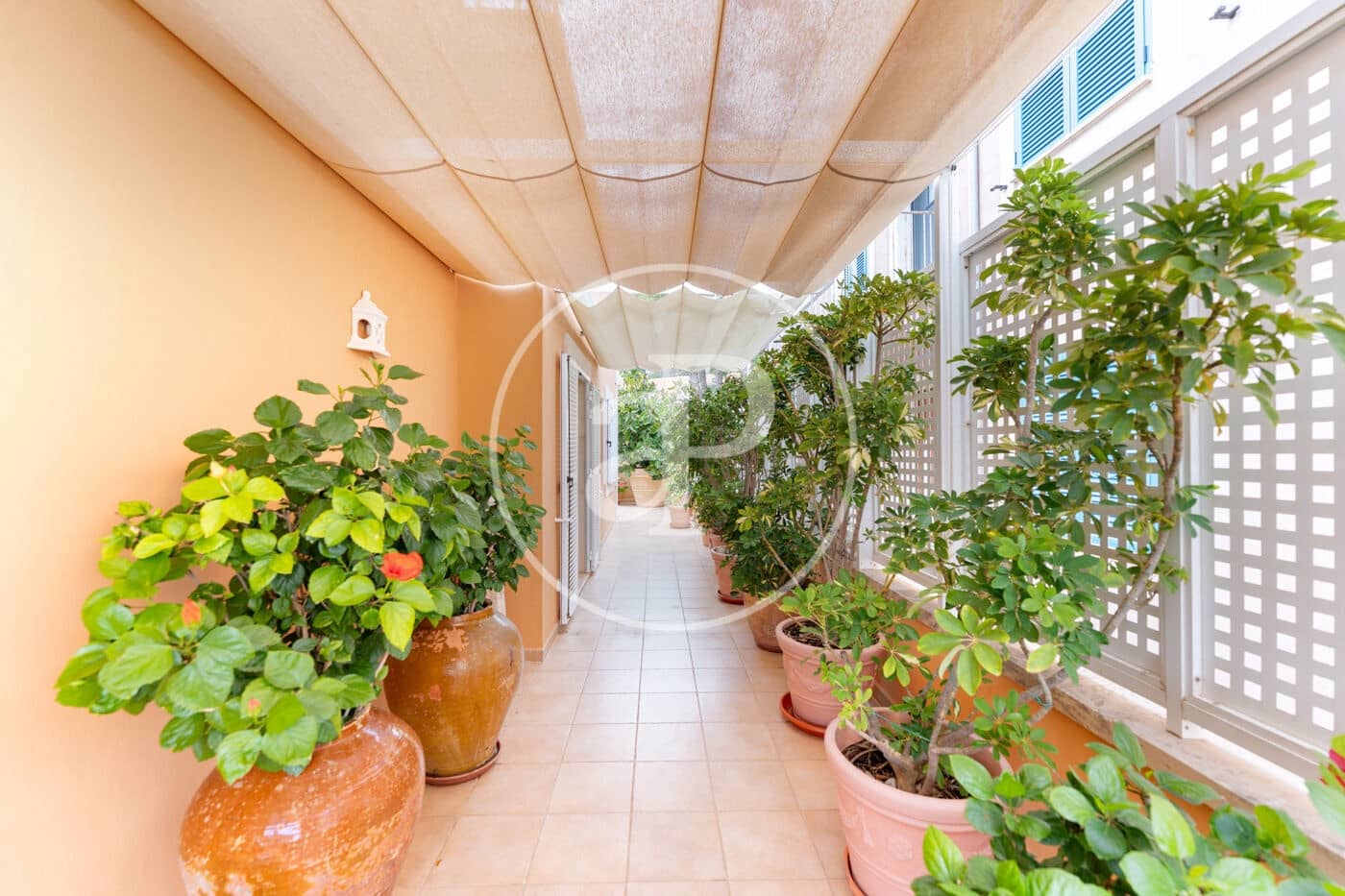 4 soverom Leilighet til leie i Puerto de Andratx - € 4 000 (Ref: 10100225)
