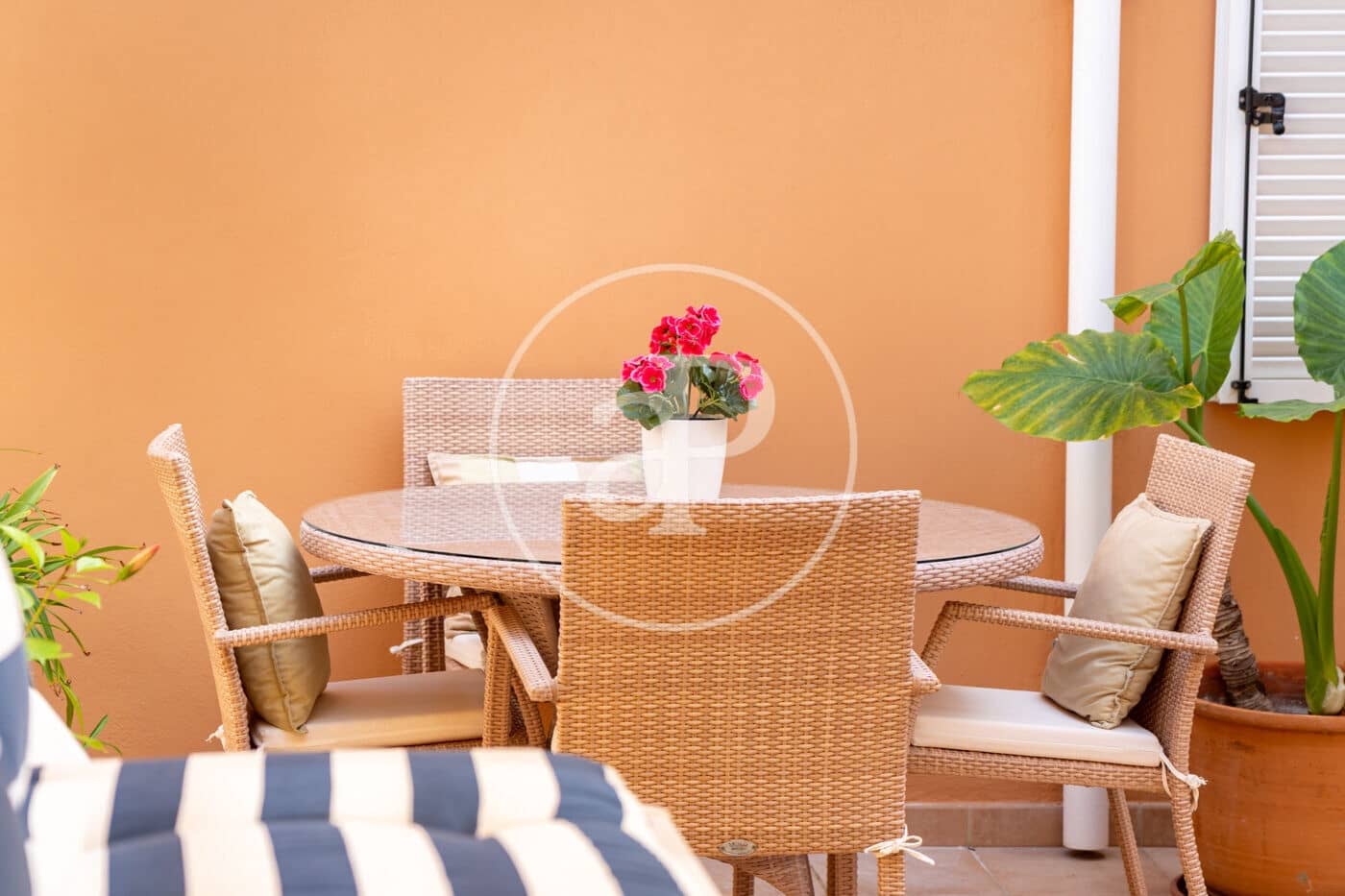 4 soverom Leilighet til leie i Puerto de Andratx - € 4 000 (Ref: 10100225)