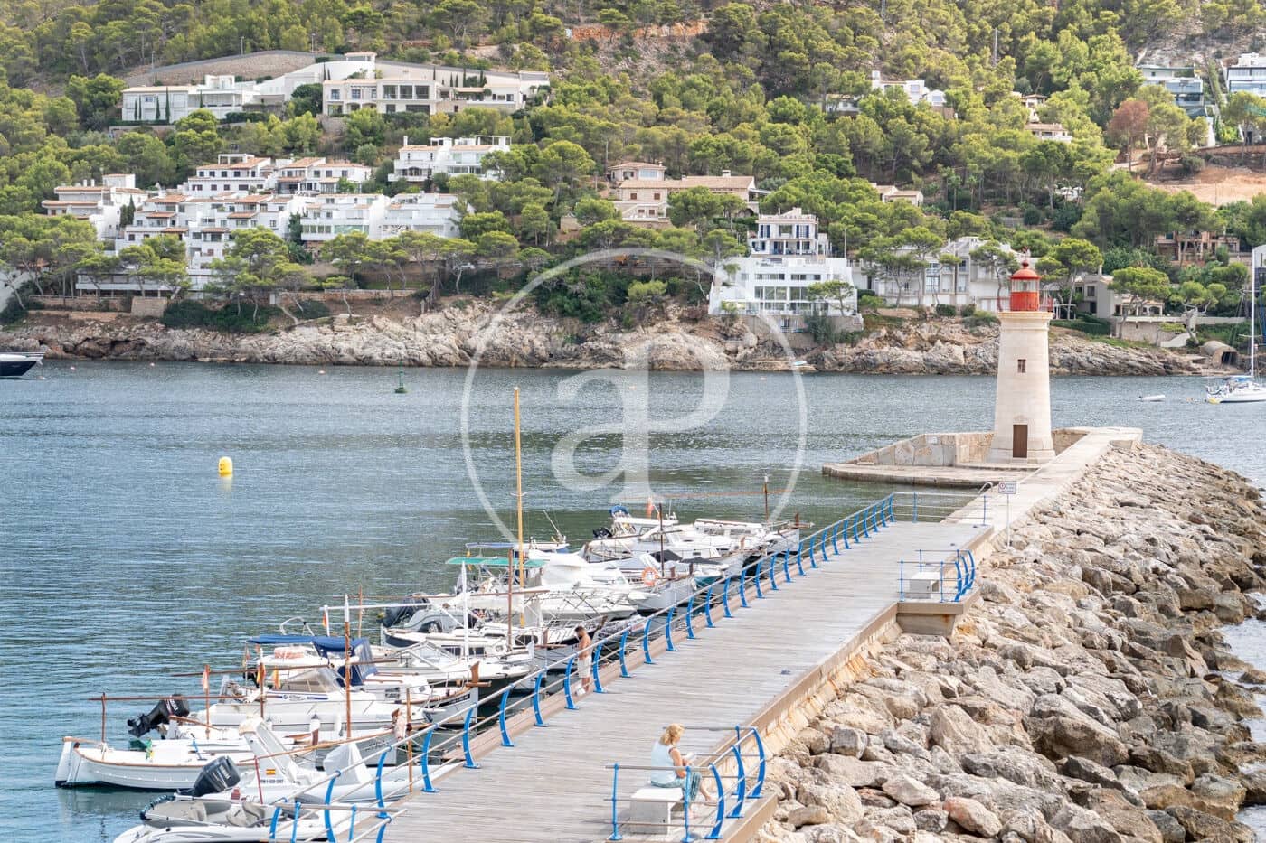 4 soverom Leilighet til leie i Puerto de Andratx - € 4 000 (Ref: 10100225)