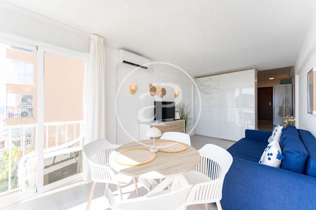 1 sovrum Lägenhet att hyra i Santa Ponsa, Calvià med pool - 1 200 € (Ref: 10119961)