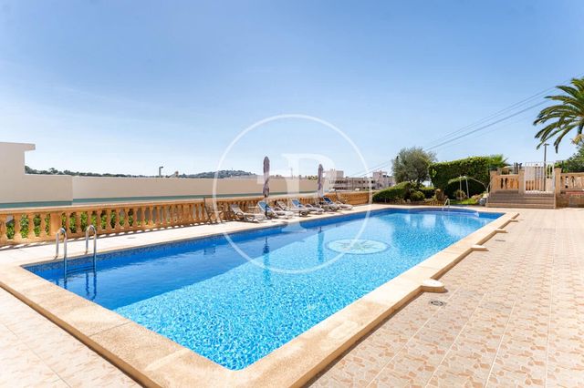 1 sovrum Lägenhet att hyra i Santa Ponsa, Calvià med pool - 1 200 € (Ref: 10119961)