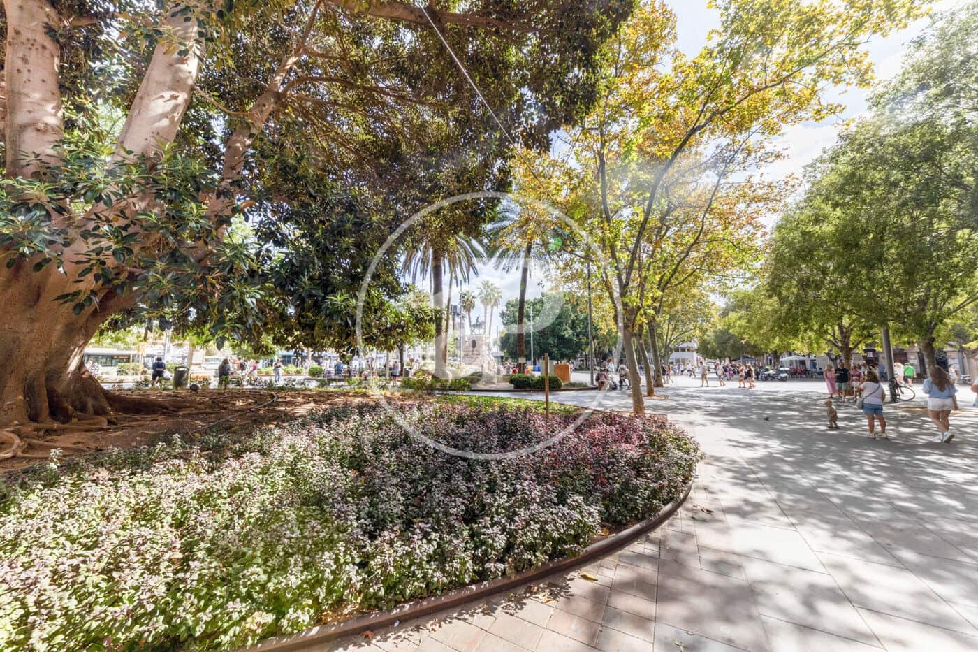 3 Zimmer Apartment zu verkaufen in Palma de Mallorca - 620.000 € (Ref: 10124460)
