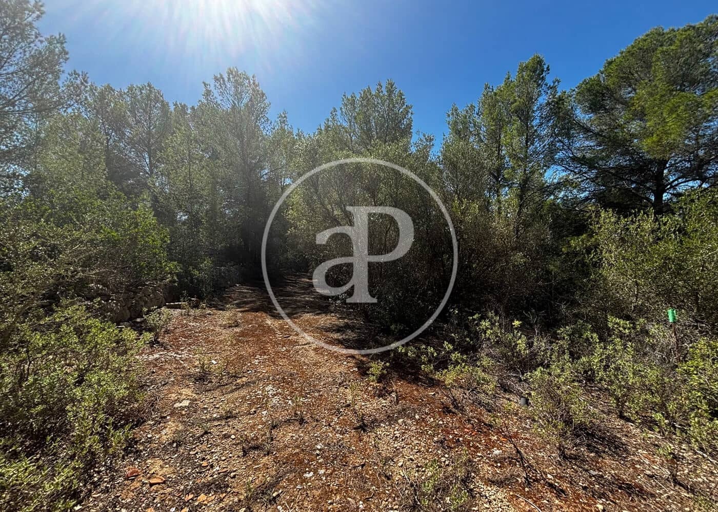 Undeveloped Land for sale in Llucmajor - € 115,000 (Ref: 10124464)