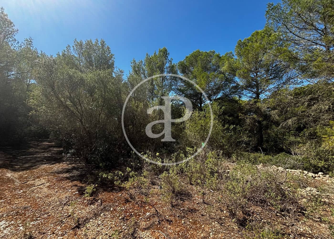 Undeveloped Land for sale in Llucmajor - € 115,000 (Ref: 10124464)