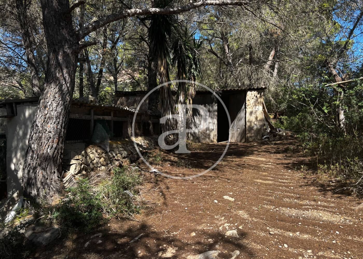 Undeveloped Land for sale in Llucmajor - € 115,000 (Ref: 10124464)