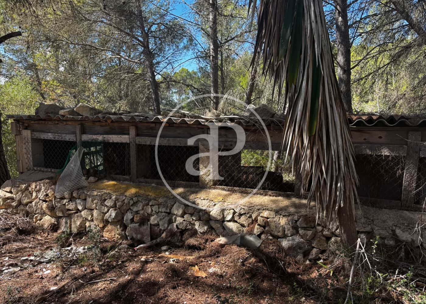 Undeveloped Land for sale in Llucmajor - € 115,000 (Ref: 10124464)