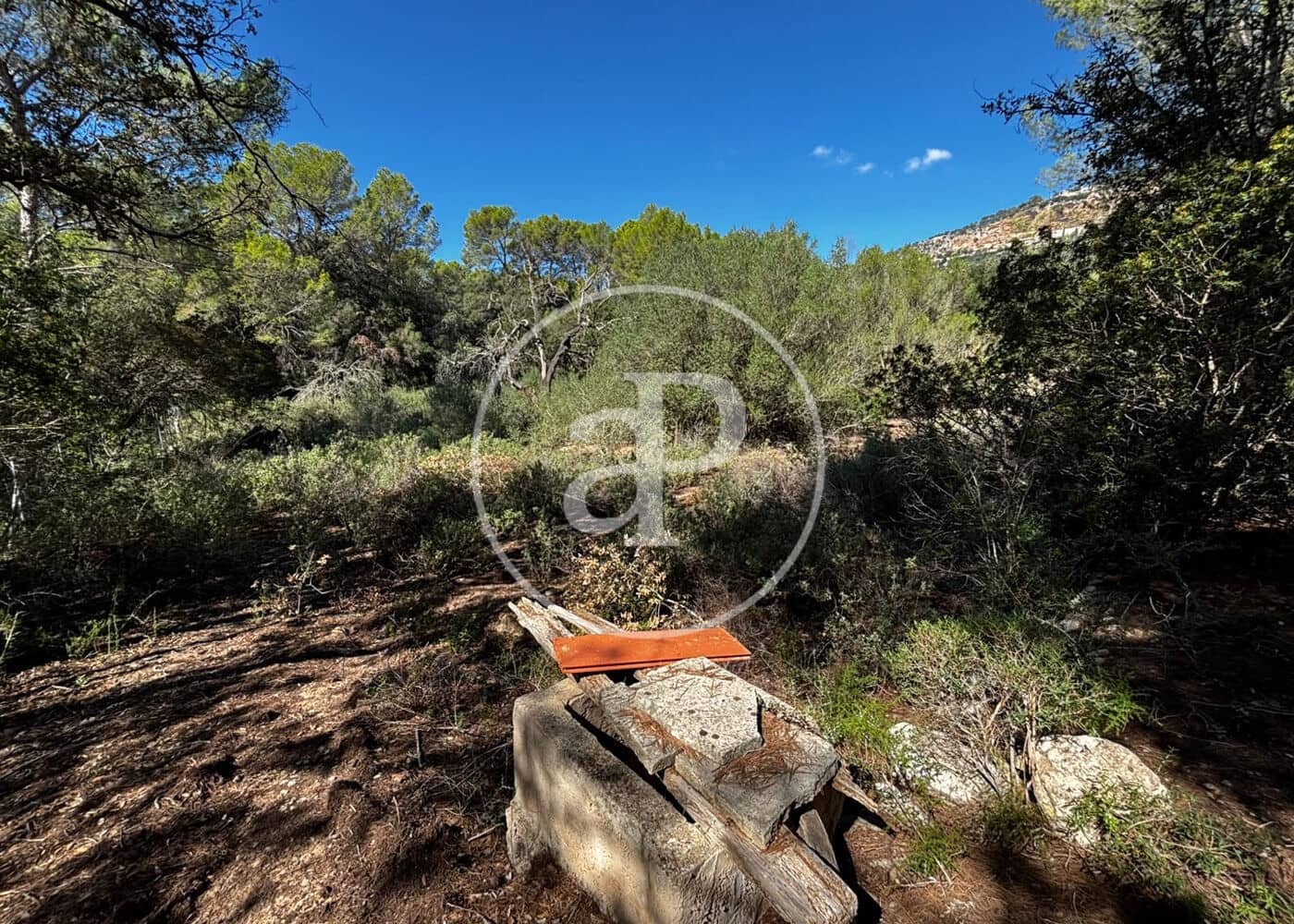 Undeveloped Land for sale in Llucmajor - € 115,000 (Ref: 10124464)