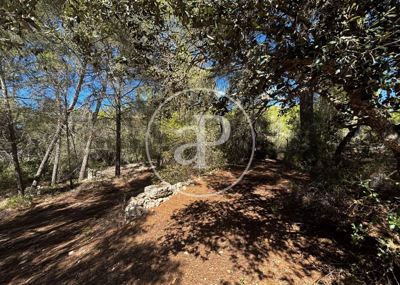 Undeveloped Land for sale in Llucmajor - € 115,000 (Ref: 10124464)