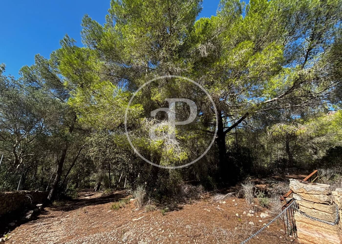 Undeveloped Land for sale in Llucmajor - € 115,000 (Ref: 10124464)