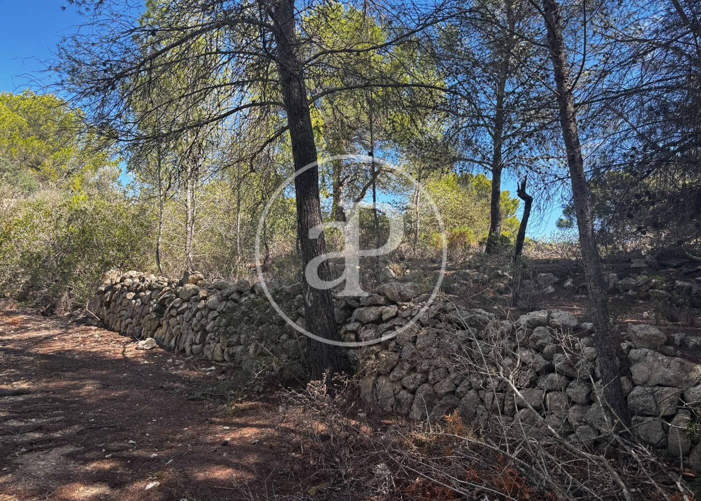 Undeveloped Land for sale in Llucmajor - € 115,000 (Ref: 10124464)
