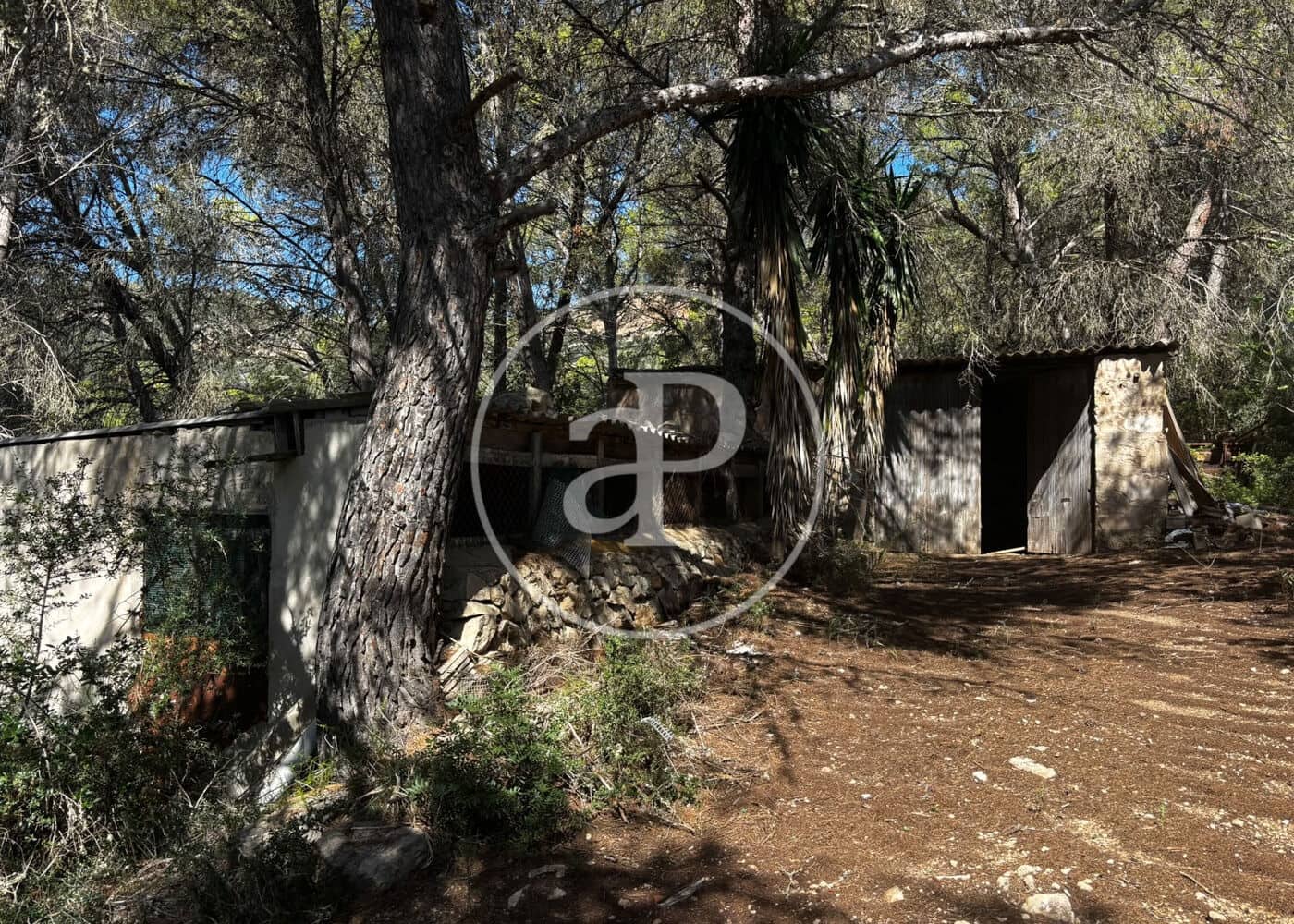 Undeveloped Land for sale in Llucmajor - € 115,000 (Ref: 10124464)