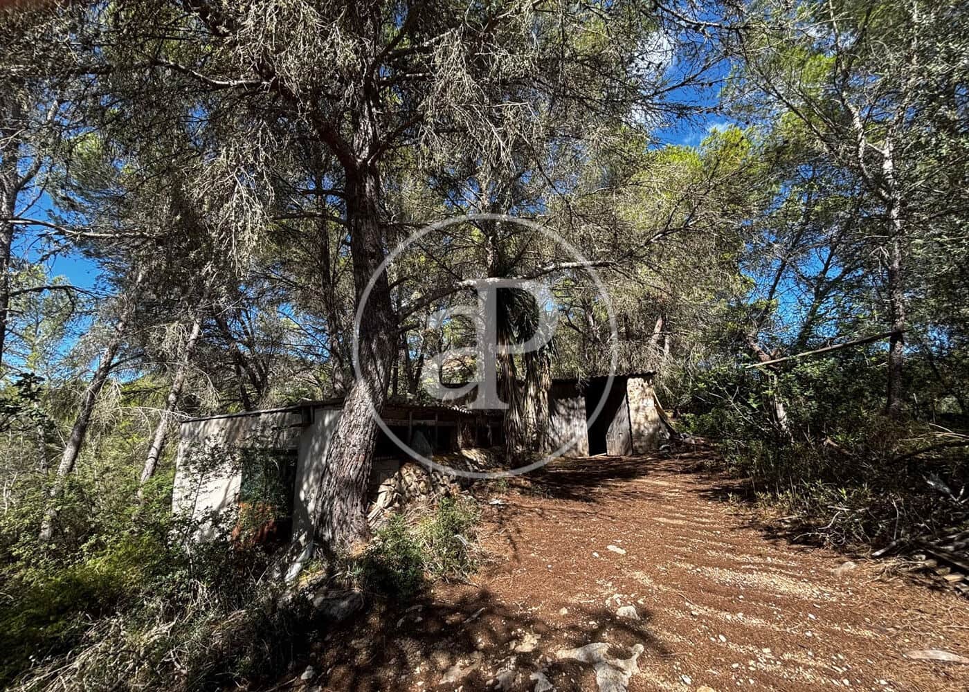 Undeveloped Land for sale in Llucmajor - € 115,000 (Ref: 10124464)