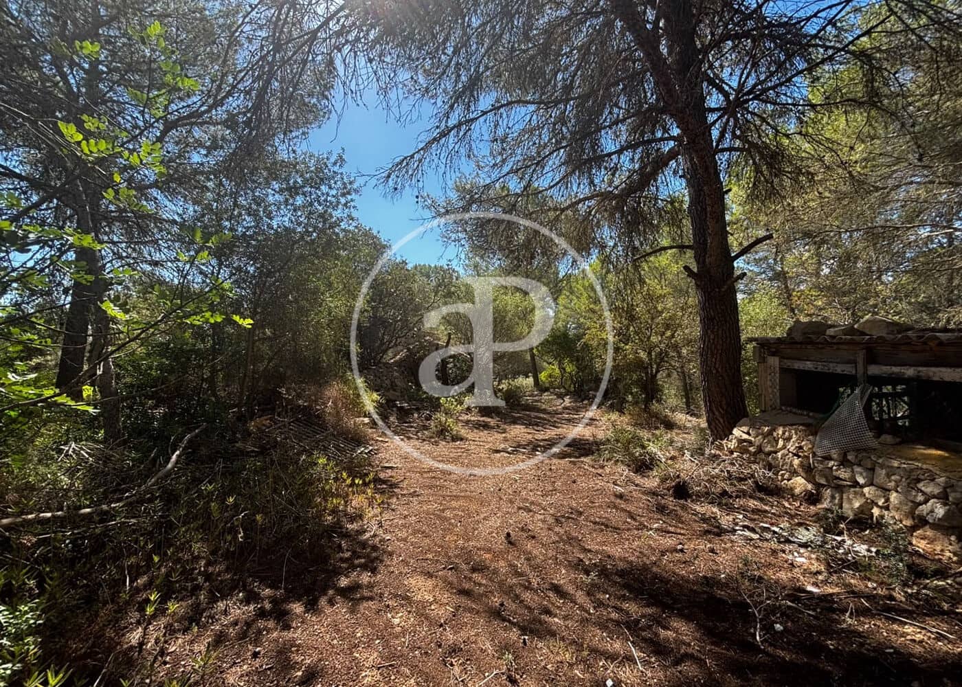 Undeveloped Land for sale in Llucmajor - € 115,000 (Ref: 10124464)