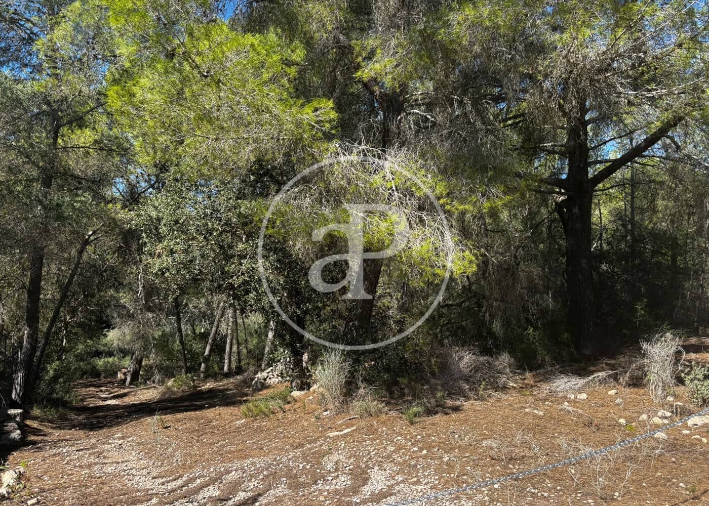 Undeveloped Land for sale in Llucmajor - € 115,000 (Ref: 10124464)