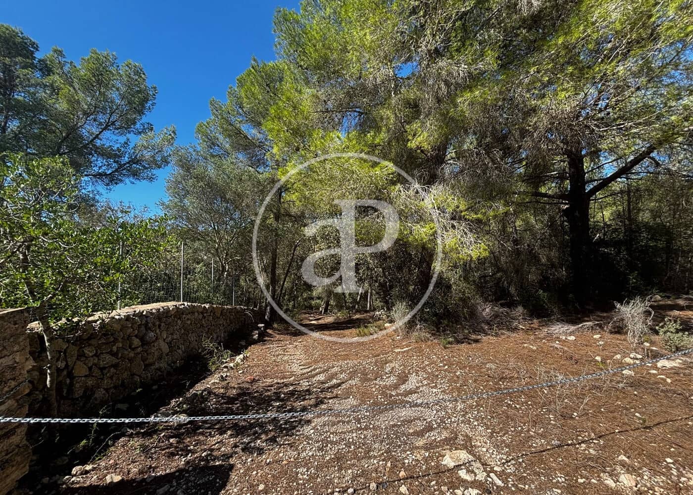 Undeveloped Land for sale in Llucmajor - € 115,000 (Ref: 10124464)