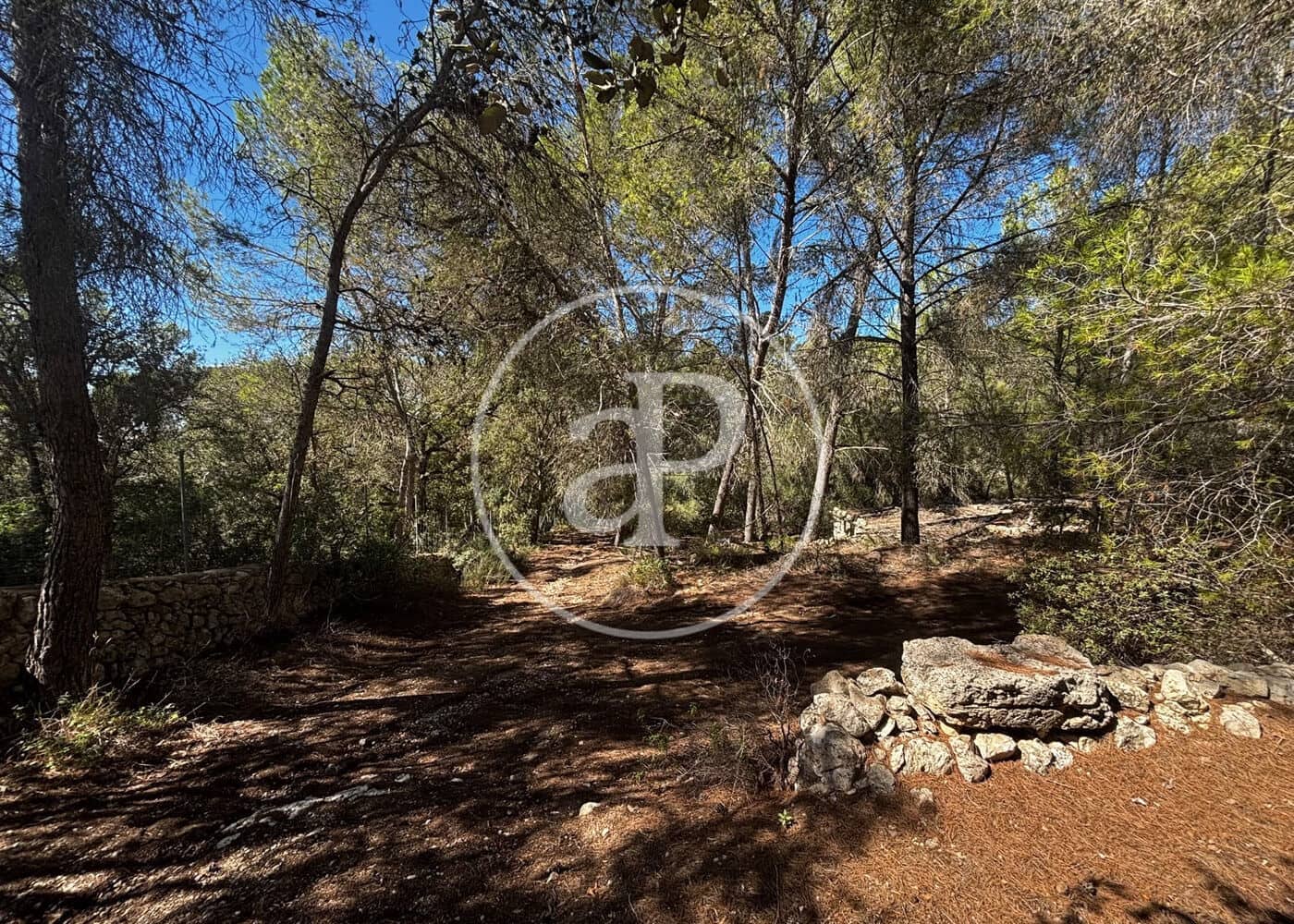 Undeveloped Land for sale in Llucmajor - € 115,000 (Ref: 10124464)