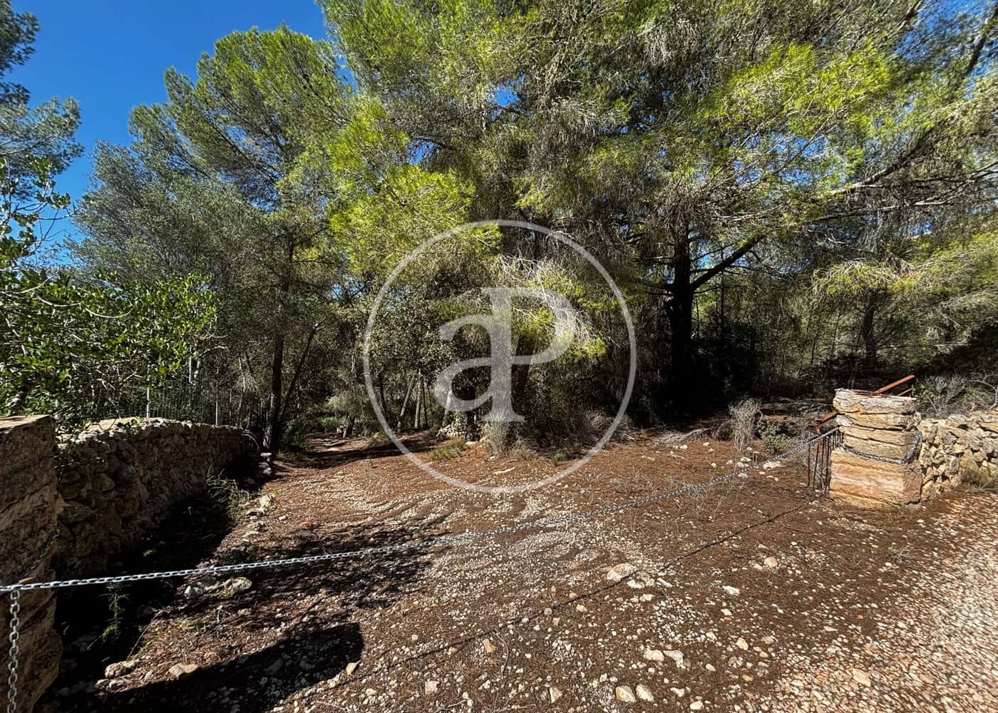 Undeveloped Land for sale in Llucmajor - € 115,000 (Ref: 10124464)
