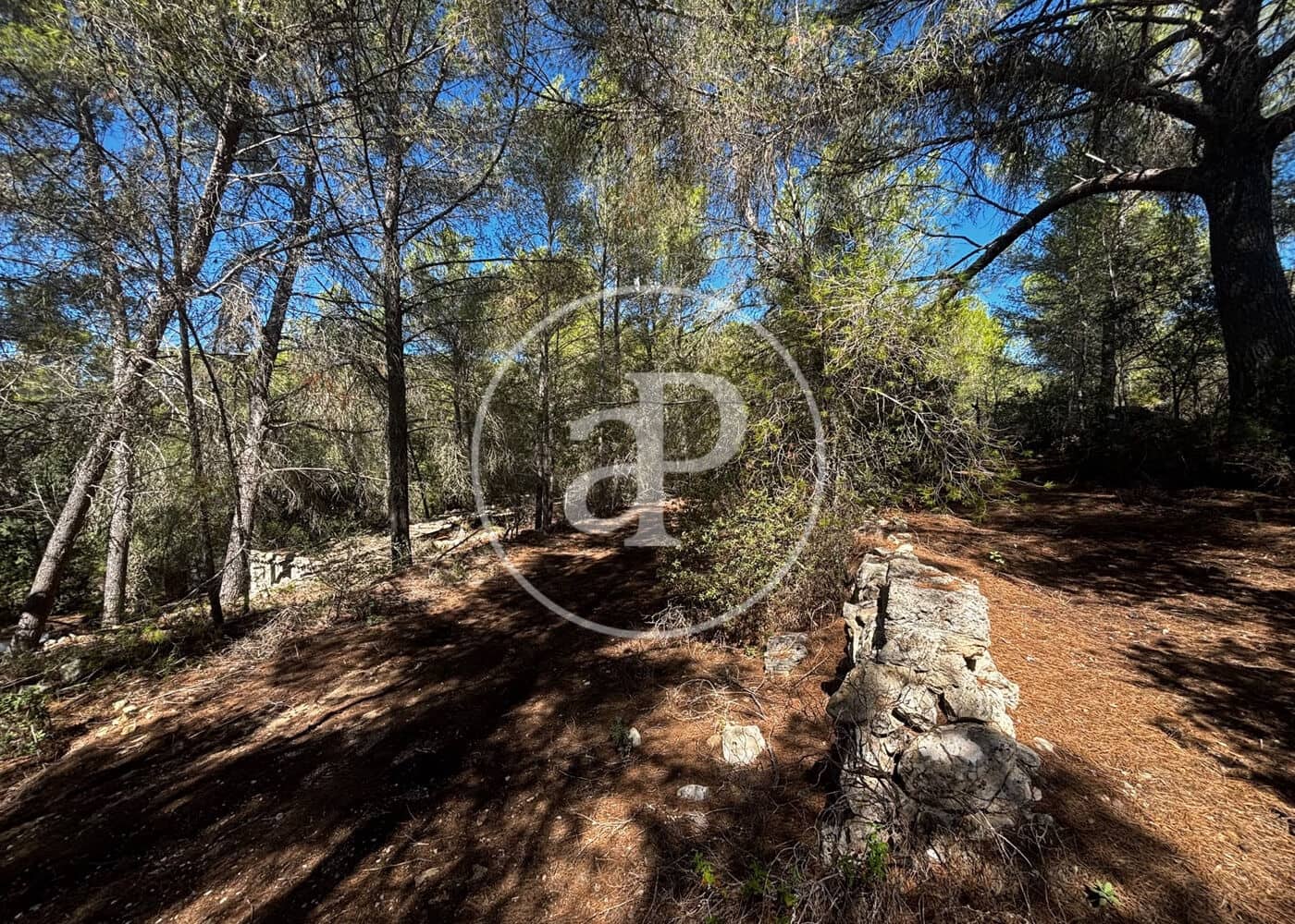 Undeveloped Land for sale in Llucmajor - € 115,000 (Ref: 10124464)