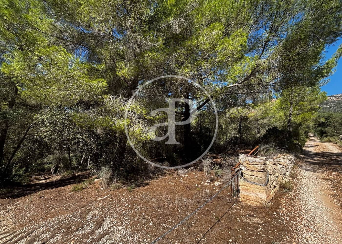 Undeveloped Land for sale in Llucmajor - € 115,000 (Ref: 10124464)