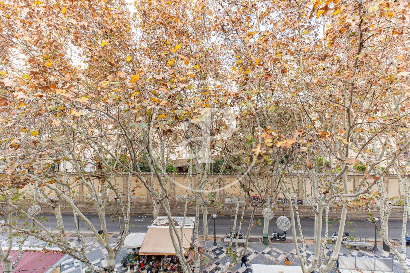 Appartement de 2 chambres à louer à Palma de Mallorca - 2 600 € (Ref: 10147045)