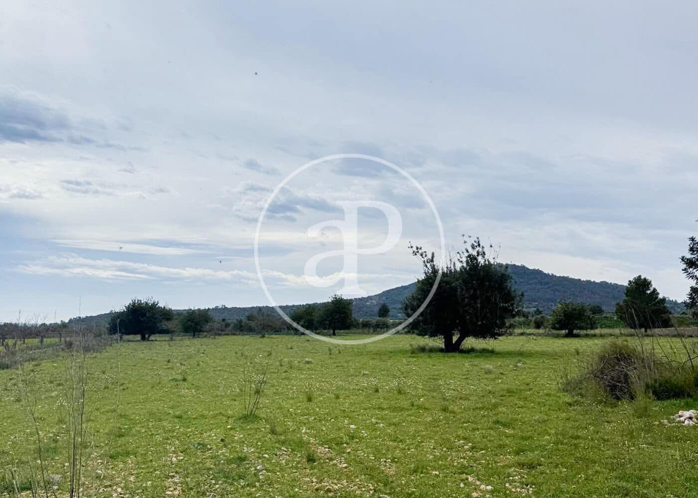 Terreno Non Edificato in vendita in Selva - 435.000 € (Rif: 10159568)