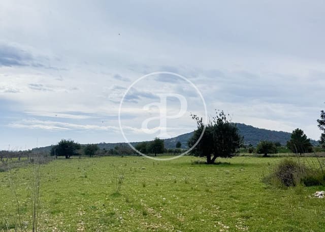 Terreno Non Edificato in vendita in Selva - 435.000 € (Rif: 10159568)